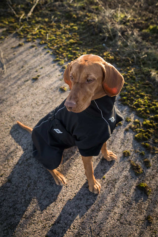 Hip- and elbow dysplasia in dogs