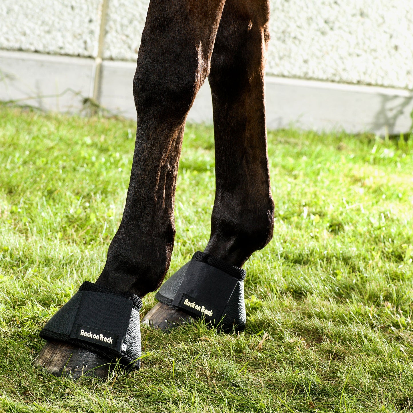 Hästboots