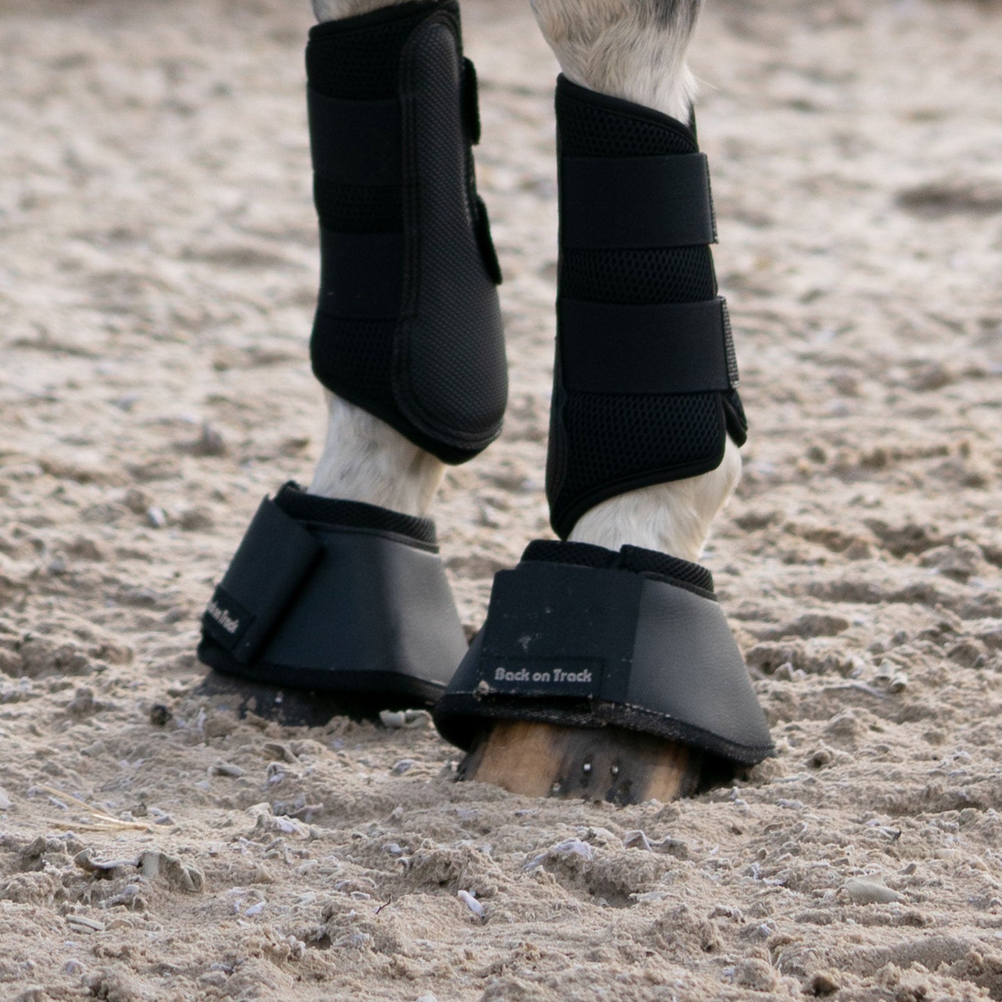 Hästboots