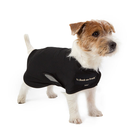 "Hugo" Hundnättäcke