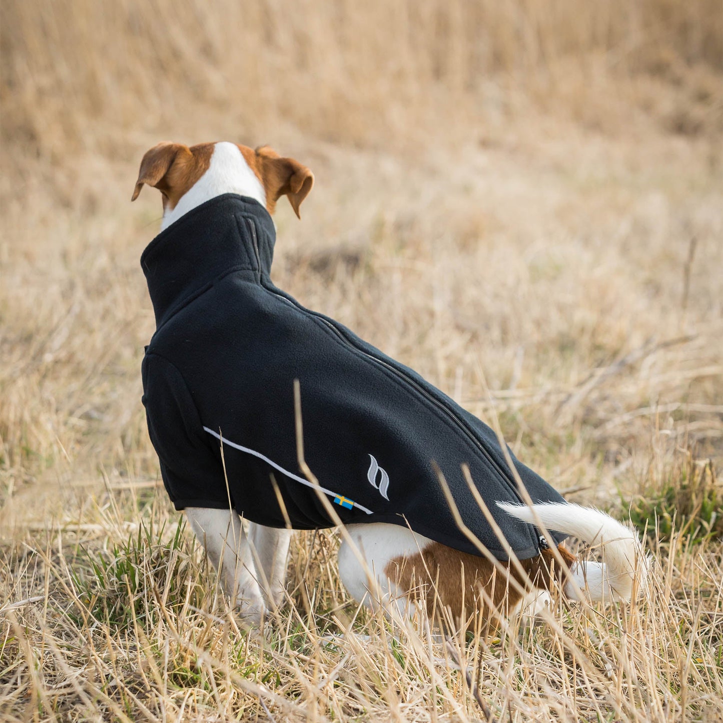 "Cassie" Hundtröja