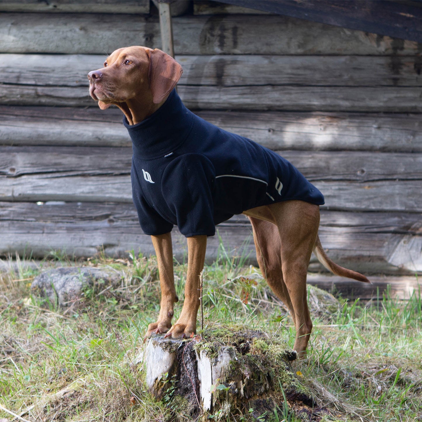 "Cassie" Hundtröja