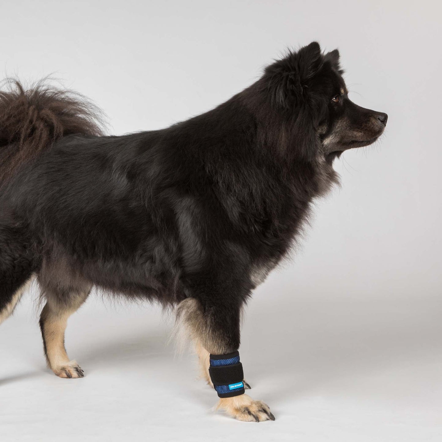 Cool on Track Kylande Bandage