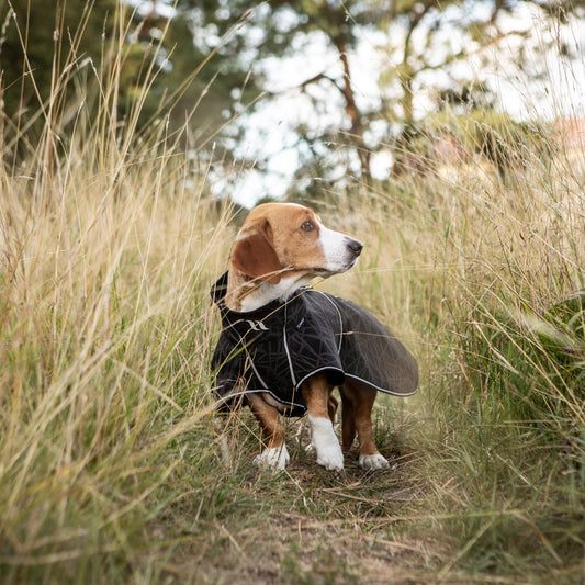 BUDDY 2.0 Softshelltäcke