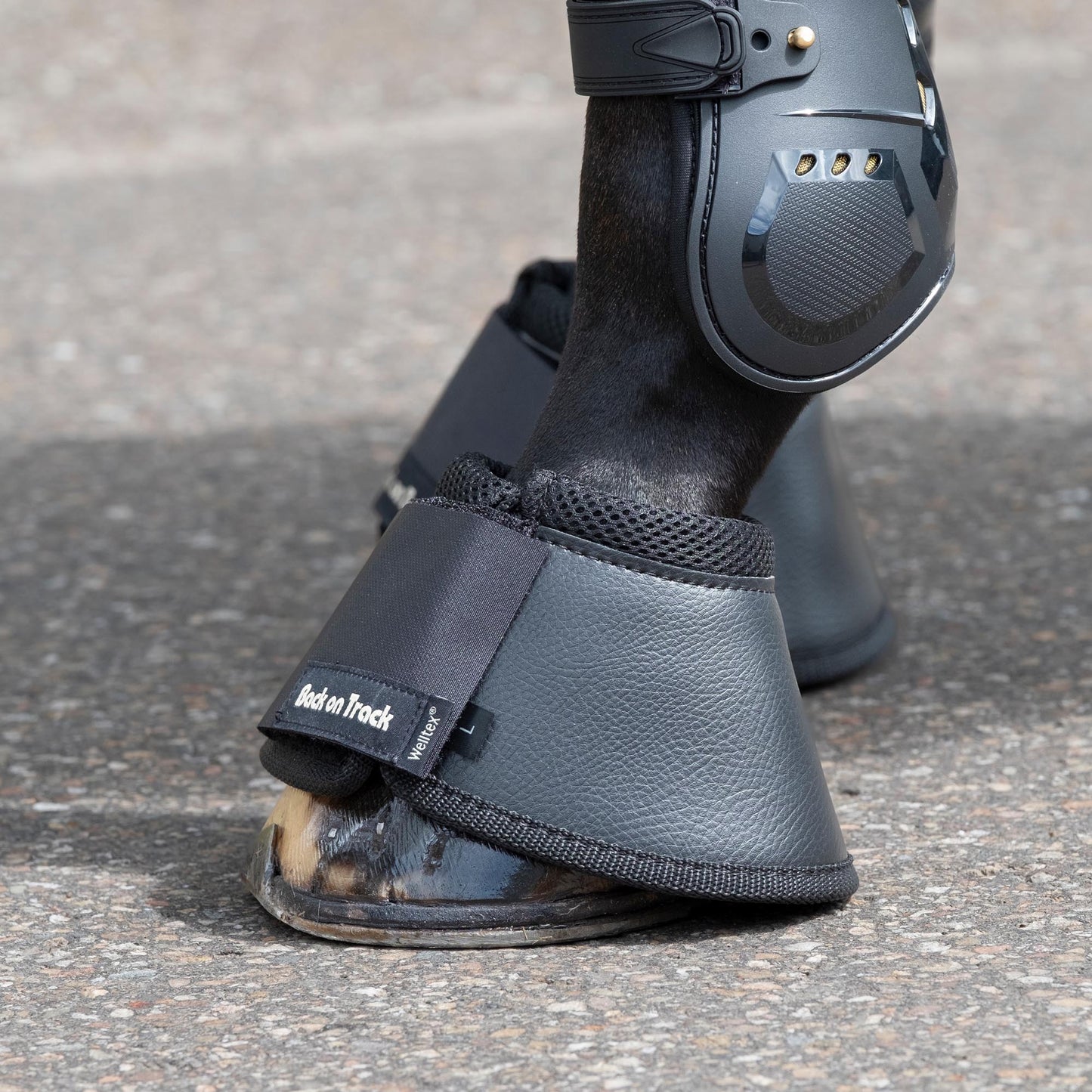 Hästboots