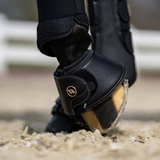 Boots Horse - Discover a wide range of horse boots at Back on Track!