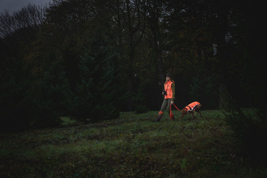 Take great care of your hunting partner!