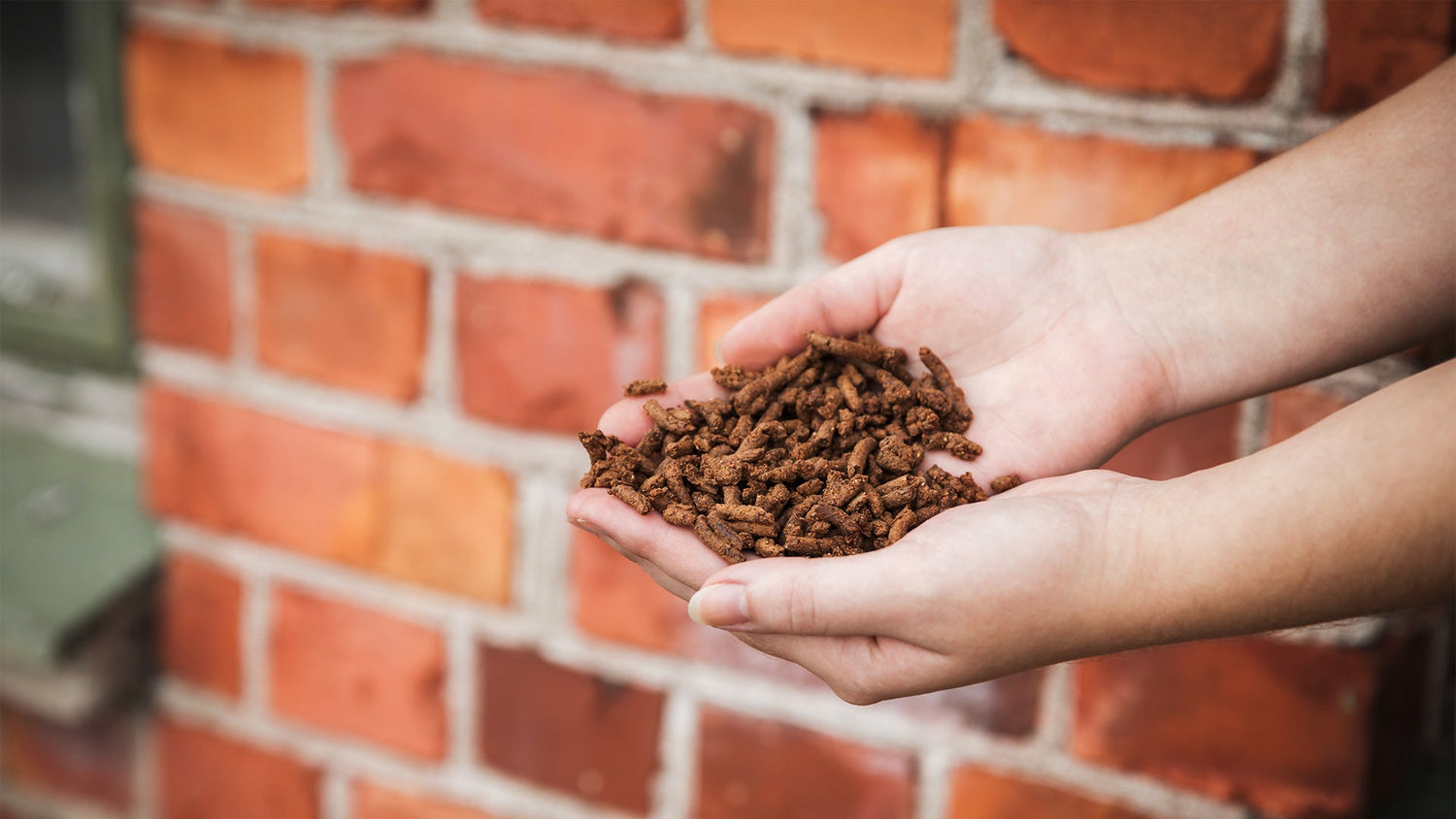 Horse Supplements