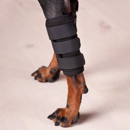 Hundbenskydd