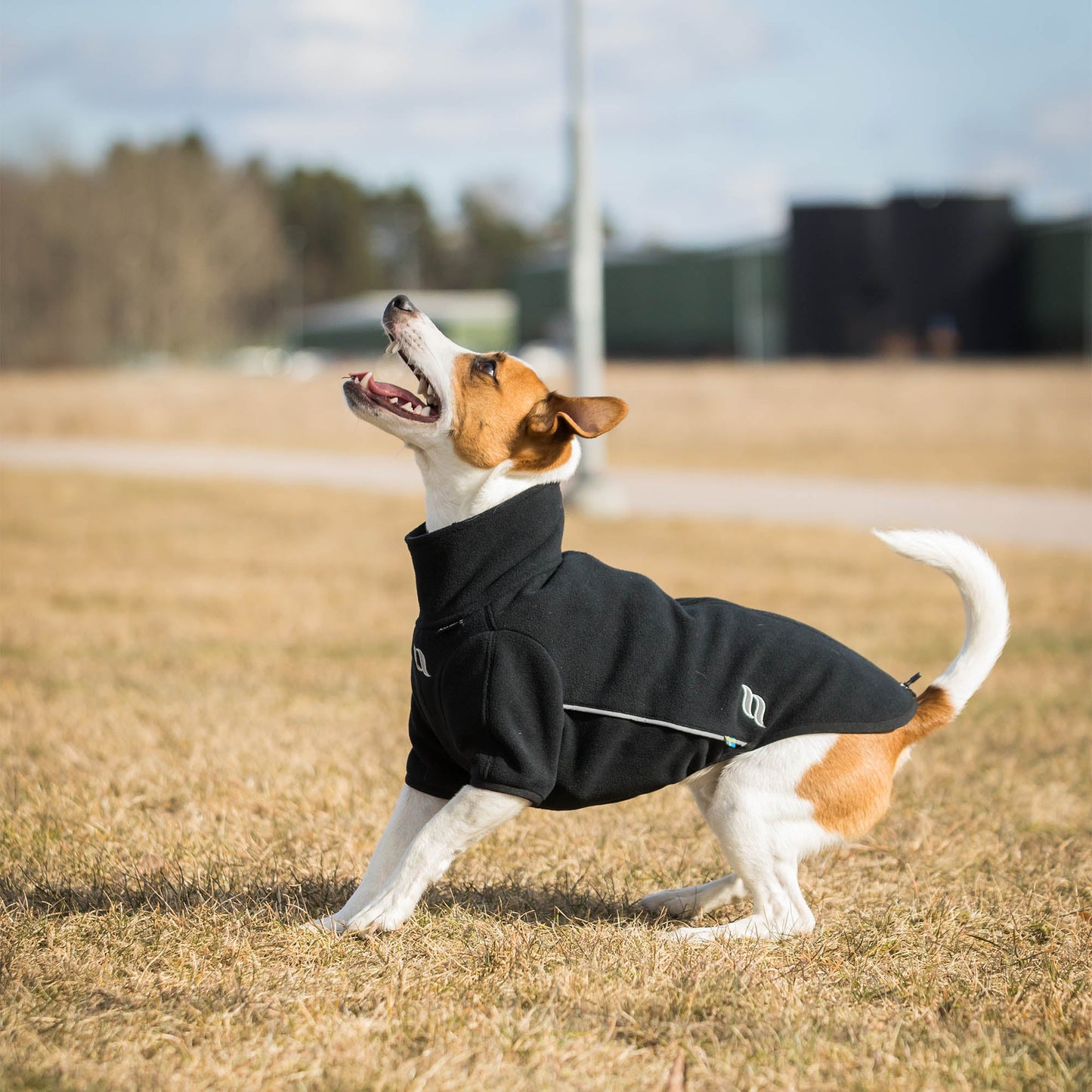 "Cassie" Hundtröja