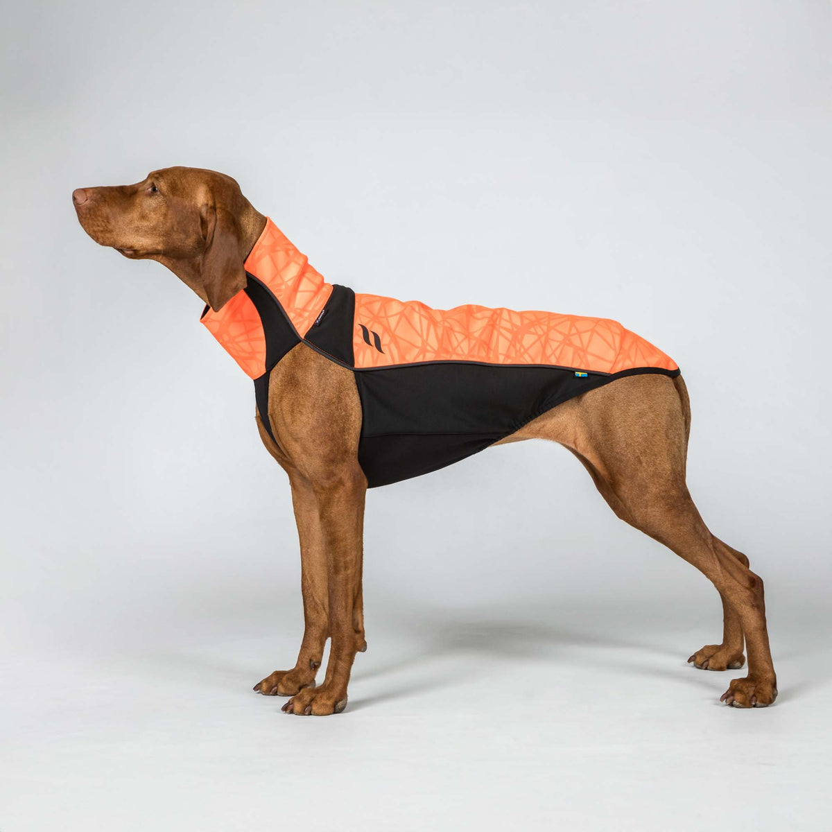 BARK Visibility Pullover