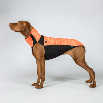 BARK Visibility Pullover