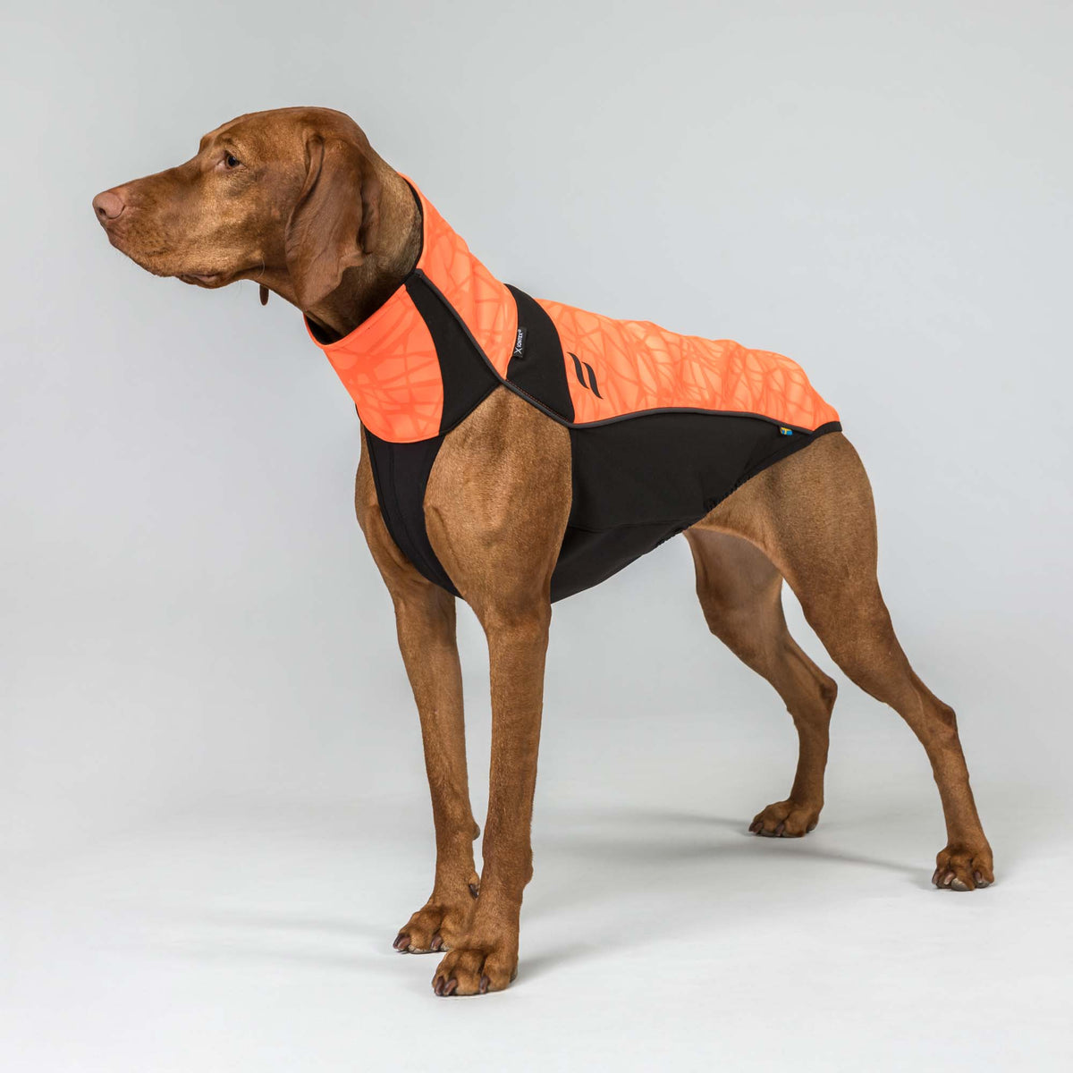 BARK Visibility Pullover