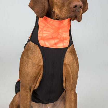 BARK Visibility Pullover