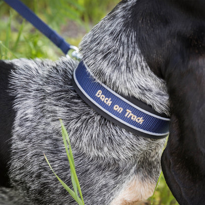 "Charlie" Hundhalsband