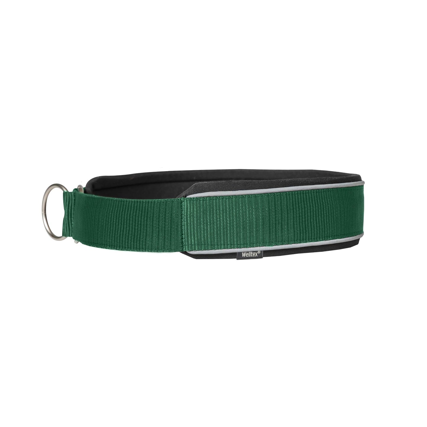 "Charlie" Hundhalsband