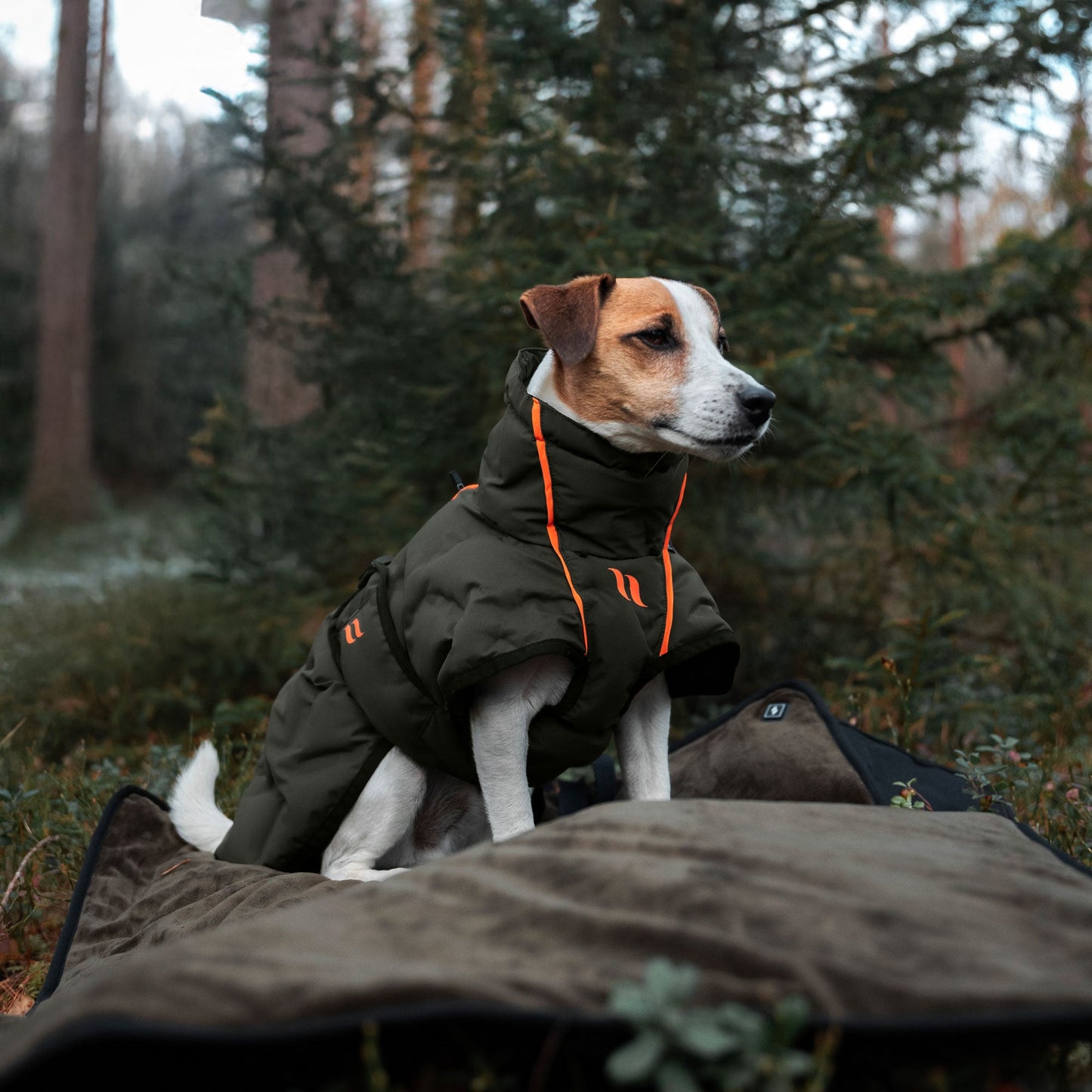 BARK Värmetäcke