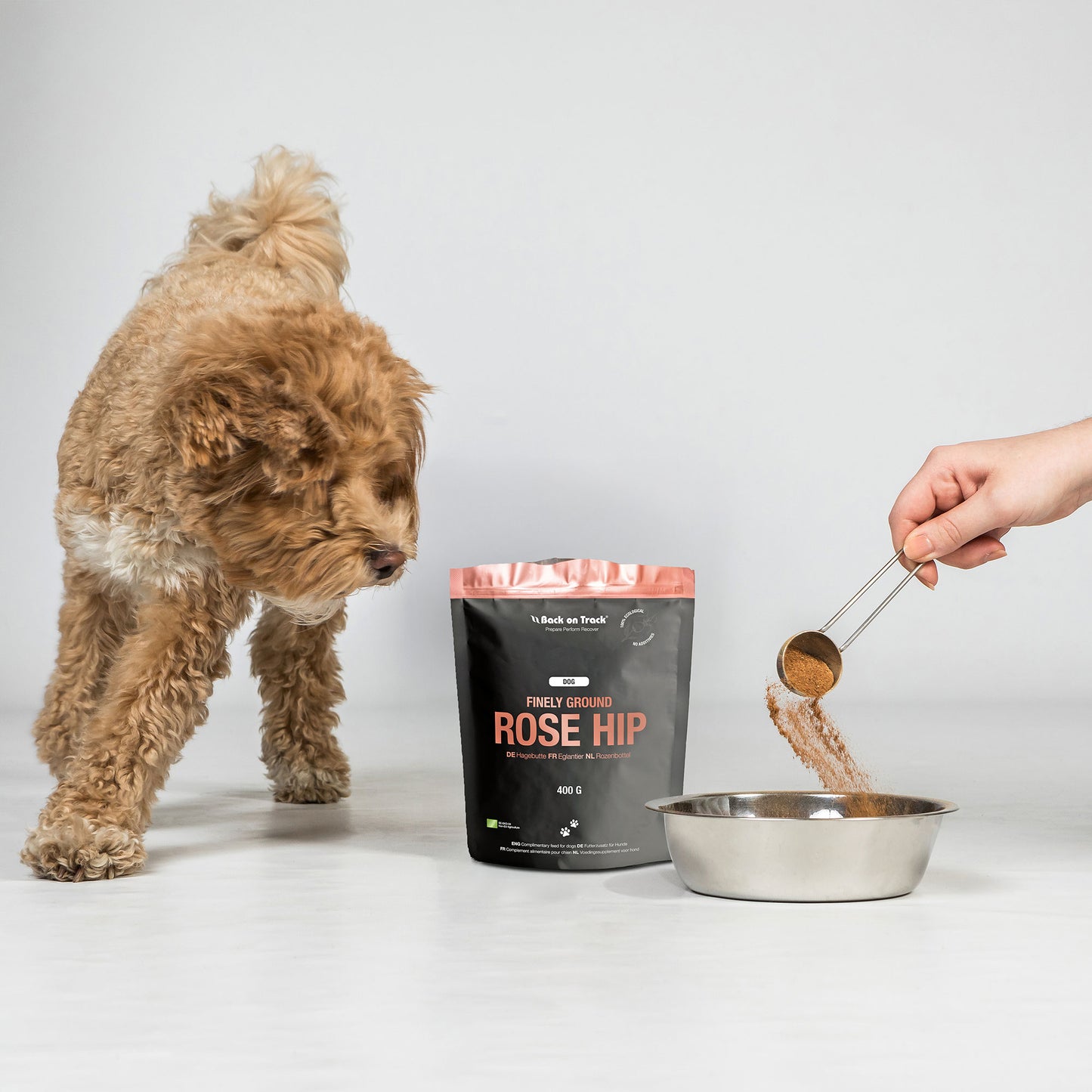 Nyponpulver till hund Finmalt ekologiskt