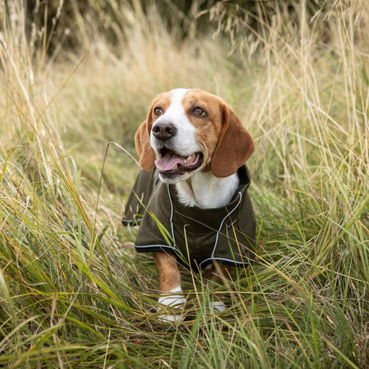 BUDDY 2.0 Nättäcke