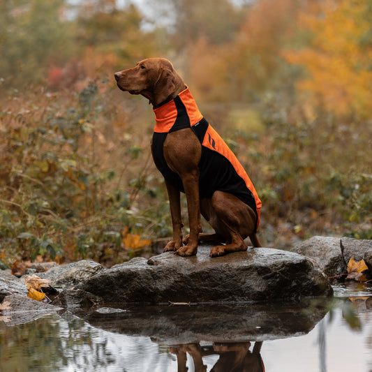 BARK Hundtröja med reflex