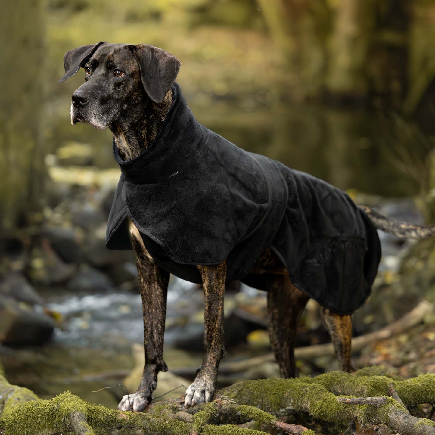 BAY Torktäcke, Lågt slut