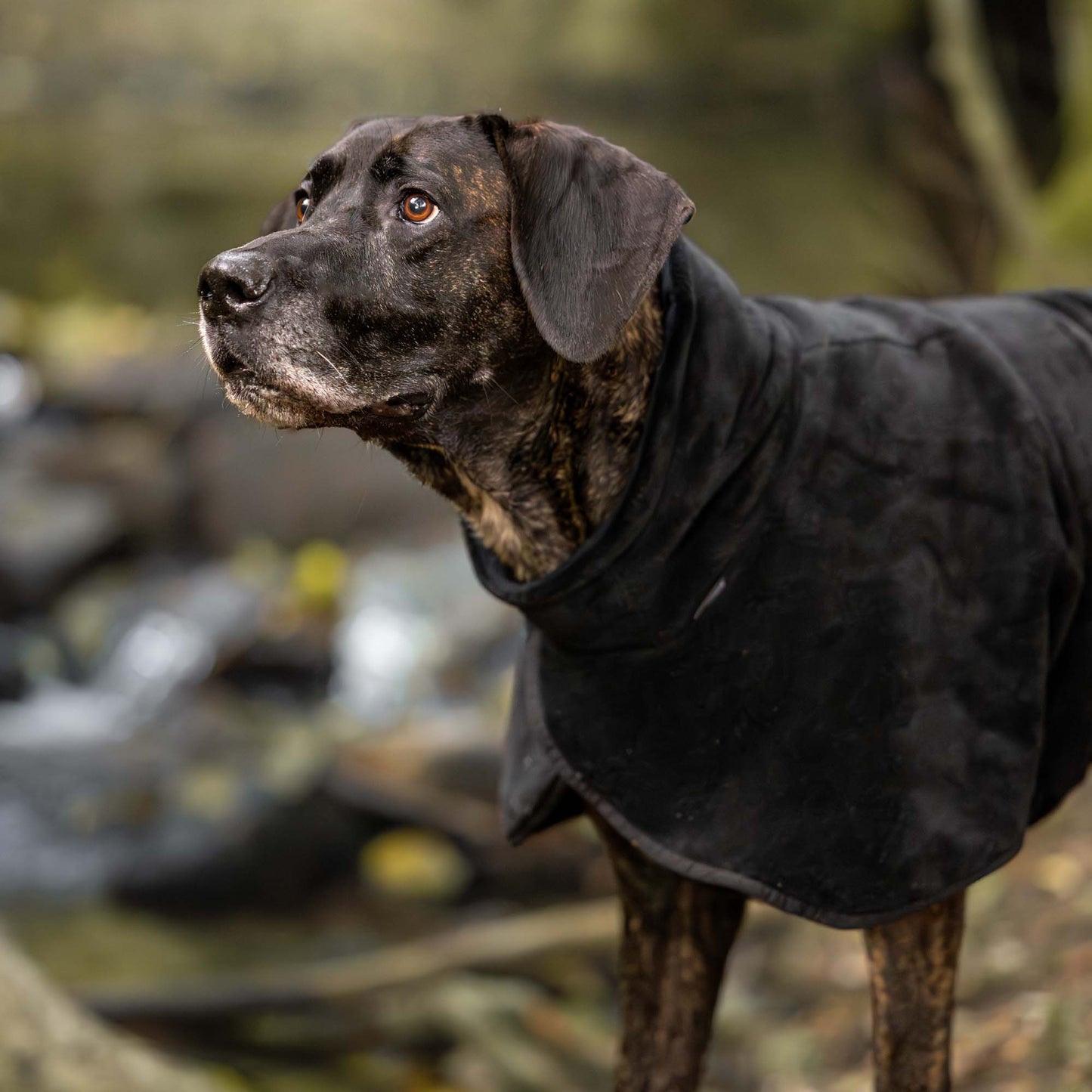 BAY Torktäcke, Lågt slut