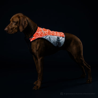 A brown dog stands in profile against a black studio background, wearing a reflective dog jacket with a red-orange and white geometric pattern and a light gray underside.