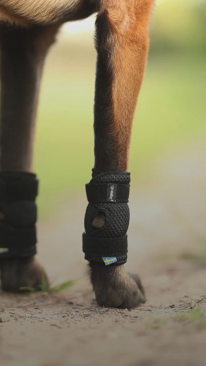 "Dixie" Hundhasskydd